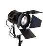 (B Stock) NanGuang Bi-Colour 100W LED Fresnel Light