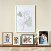 Chester Series Picture Frames